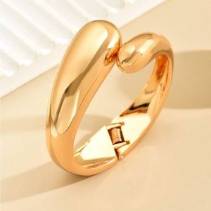 Snake Shaped Bracelet